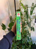 Vintage The Big 3 Hours Kids Combo VHS Video Tape