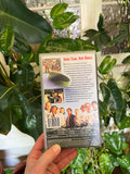 Vintage 90s The Mighty Ducks 2 VHS Tape