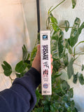 Vintage 1999 WWF Come Get Some Wrestling VHS Video Tape