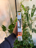 Vintage 1993 Superman 2 Movie VHS Video Tape