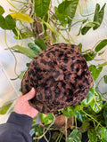 Vintage 90s Moschino Furry Bucket Hat