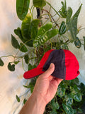 Vintage Jeff Gordon NASCAR Hat