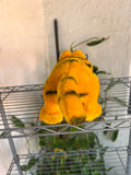 Vintage 80s Garfield Plush Toy