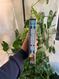 Vintage 1996 Independence Day VHS Video Tape