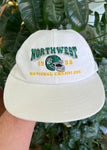 Vintage 1998 Northwest National Champions Hat