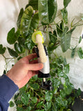 Vintage Energizer Battery Mr. Energizer Tennis Light Toy
