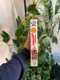 Vintage 1991 WWF The Best Of HulkMania VHS Video Tape