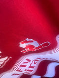 Vintage 2018 Canterbury x Lions Super Rugby Jersey