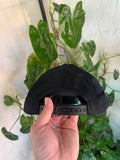 Vintage 1999 WCW World Championship Wrestling Hat