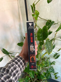 Vintage 90s Mad Max VHS Video Tape