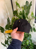 Vintage 90 Iowa 2-Tone Hat