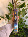 Vintage 2001 Jimmy Neutron Boy Genius Movie VHS Video Tape