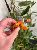 Vintage 90s Garfield Romeo and Juliet Figure Toy