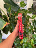 Vintage 2002 Spider-Man VHS Tape