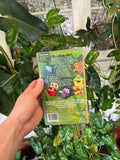 Vintage 1998 A Bugs Life VHS Tape
