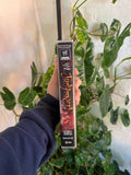 Vintage 2002 WWE Judgement Day Wrestling VHS Video Tape