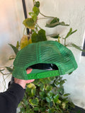 Vintage Y2K Bacardi Trucker Hat