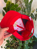 Vintage Jeff Gordon NASCAR Hat