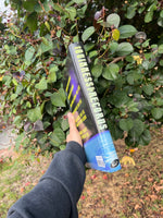 Vintage 1999 Guinness World Records Book