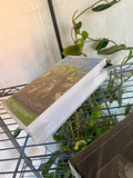 Vintage 2004 Shrek 2 VHS Video Tape