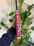 Vintage 1994 Betty Boop Volume 2 VHS Video Tape