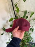 Vintage Bass Pro Shops Trucker Hat